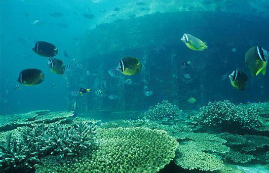 Kushimoto Marine Park Center Underwater Observe Tower